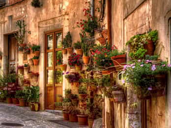 Valldemossa: escursione di un giorno con percorso panoramico