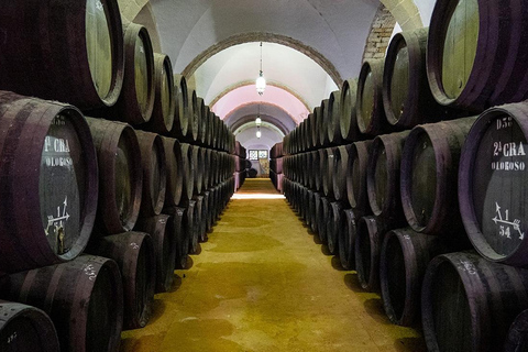 Exclusive Sherry Heritage & Cádiz Bay Experience