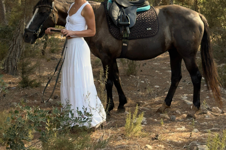 Cebu, Philippines: Mountain Heritage Trail Riding Adventure