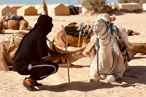 Tunisia: 2-Day Sahara Escape with Desert Camp & Oasis Pickup from Sousse/Monastir & Surrounding Areas