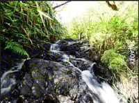 Salaozy”，瀑布马戏团，星期日 - Housity