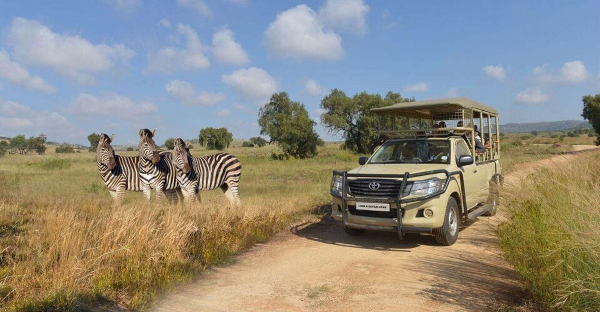 Lion Park Tour in Open Safari Vehicle - Housity