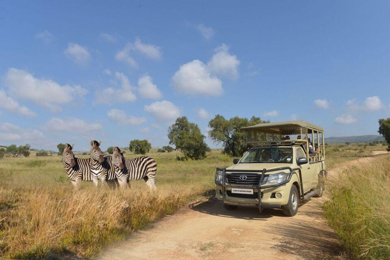 Leeuwen Park Tour in Open Safari VoertuigLion Park-tour in een open safarivoertuig