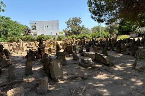 Journée privée médina de Tunis Carthage Sidi Bousaid avec déjeuner