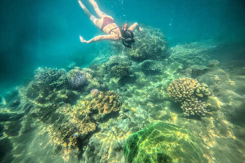 Nha Trang: Aventura de mergulho com snorkel de meio dia com churrasco a bordoExperiências de excursão e banho de lama