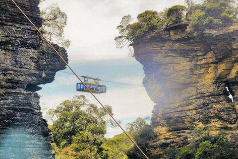 Blue Mountains Adventure: Wild Boar Rock & Cable Car Boutique minibus group tour - fixed meeting point