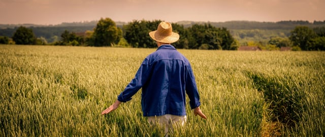 Il tour immersivo di Van Gogh - Auvers sur Oise