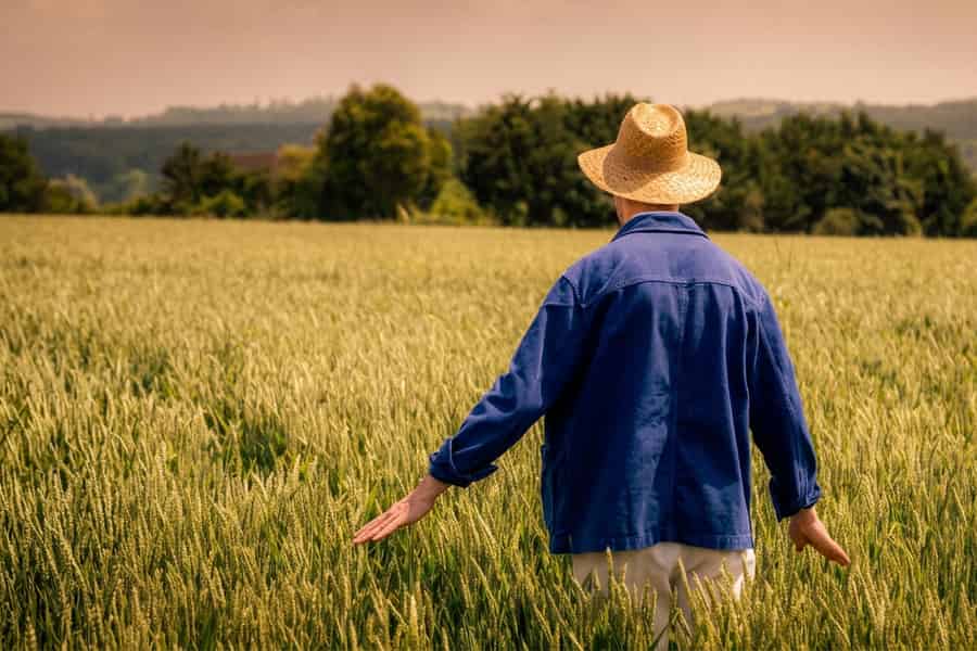 Die immersive Van-Gogh-Tour – Auvers-sur-Oise. Foto: GetYourGuide