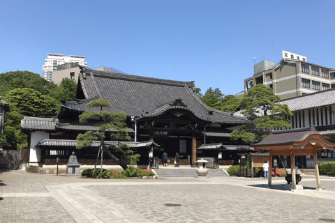Tokyo–Haneda: Garden, Samurai & Torii Private Tour Tokyo hotel → Haneda Airport