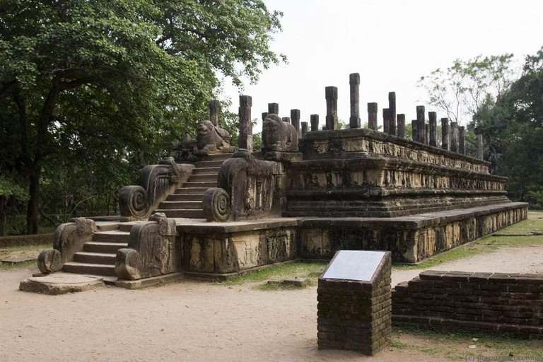 Dambulla i Polonnaruwa: Wycieczka All Inclusive z Kolombo