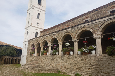 From Vlora: Berat Exploring Tour, Ardenica Monas. & Zvernec
