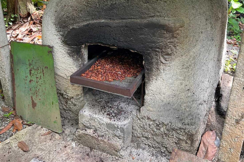 San Carlos : Visite guidée de l'art de la fabrication du chocolat à Don Olivo