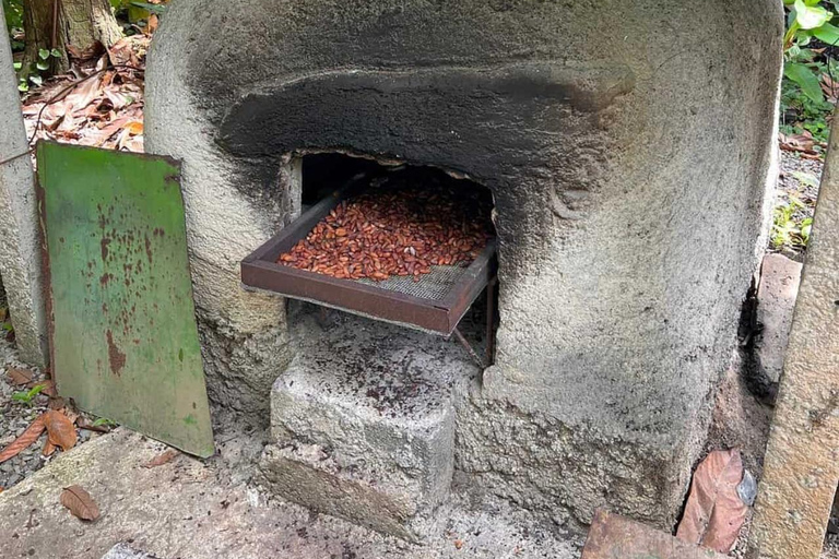 San Carlos : Visite guidée de l'art de la fabrication du chocolat à Don Olivo