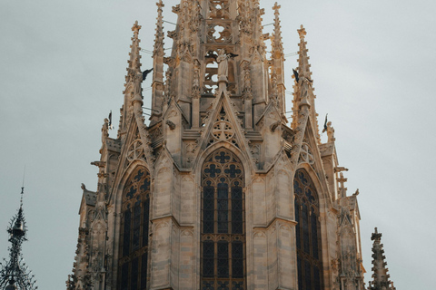 Barcelona: Cathedral of Barcelona Guided Tour