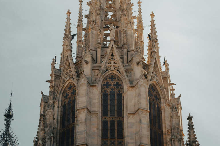 Barcelona: Cathedral of Barcelona Guided Tour