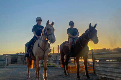 Hunter Valley: Sunset Horse Riding Tour 90min