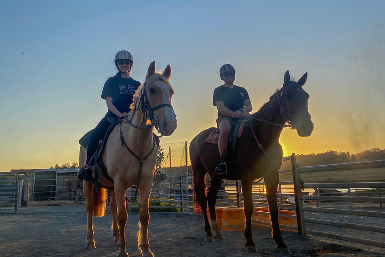 Hunter Valley: Sunset Horse Riding Tour 90min
