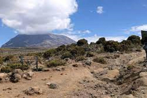 BEST 1-DAY HIKE KILIMANJARO CLIMBING MACHAME ROUTE ONE DAY TO VISIT MT. KILIMANJARO VIA MACHAME ROUTE