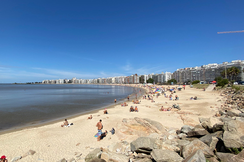 Montevideo Visite privée sur mesure (SUV électrique ou BMW)