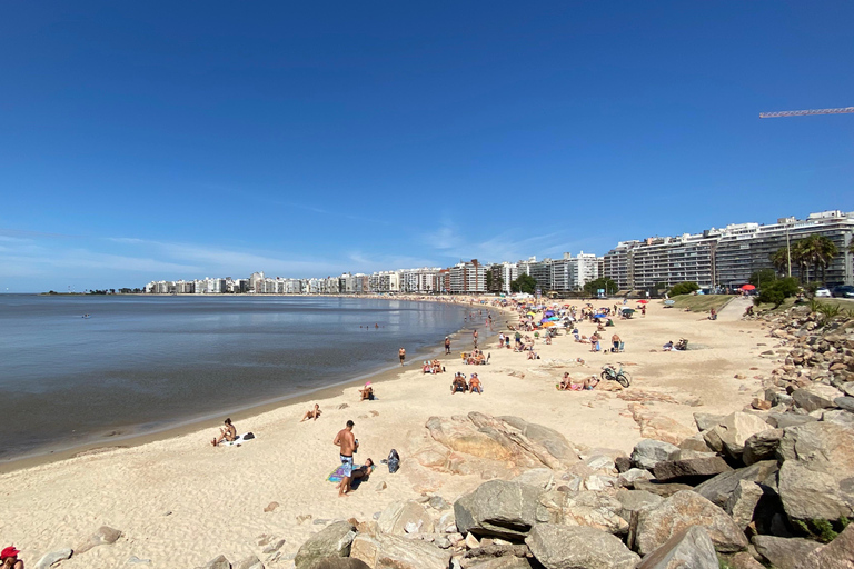 Montevideo Visite privée sur mesure (SUV électrique ou BMW)