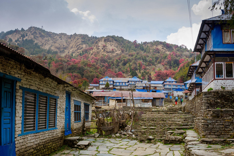 Trek du camp de base de l&#039;Annapurna : 5 jours au départ de PokharaPokhara : 5 jours de trekking au camp de base de l&#039;Annapurna avec guide