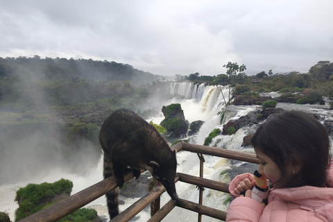 Wodospady Brazylii i Argentyny: jednodniowa wycieczka.Wodospady w Brazylii i Argentynie: jednodniowa wycieczka. .