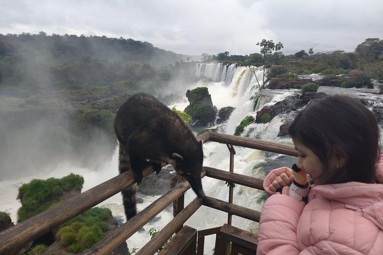 Wodospady Brazylii i Argentyny: jednodniowa wycieczka.Wodospady w Brazylii i Argentynie: jednodniowa wycieczka. .