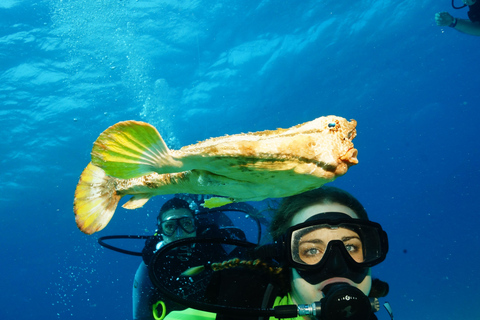 CANCUN: FIRST TIME DIVERS CANCUN