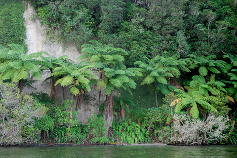 Rotorua: Tour serale del Big Kanu Starlight