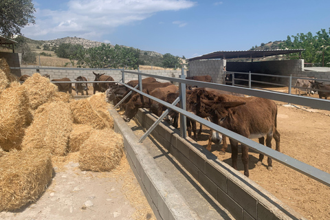 From Larnaca/Ayia Napa: Lefkara Village, Donkey & Camel Park