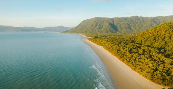 Cairns: Cape Tribulation & Daintree Rainforest Premium Tour