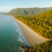 Cairns: Cape Tribulation & Daintree Rainforest Premium Tour
