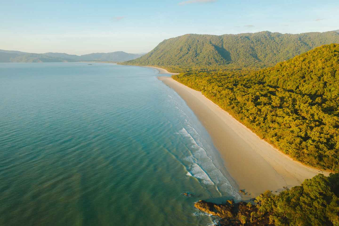 Cairns: Cape Tribulation & Daintree Rainforest Premium Tour - Cairns: Cape Tribulation & Daintree Rainforest Premium Tour