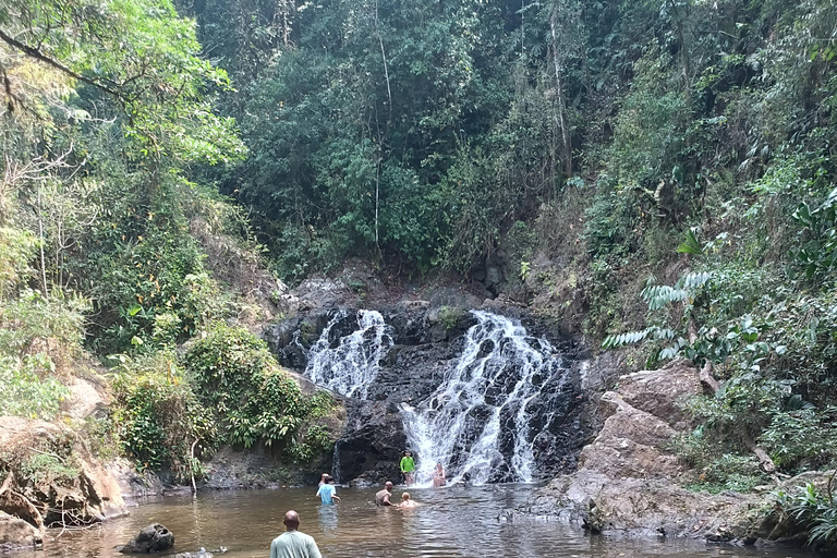 Panamá: Excursión al Pueblo EmberaPanamá: Excursión al Pueblo Embera Tusipono