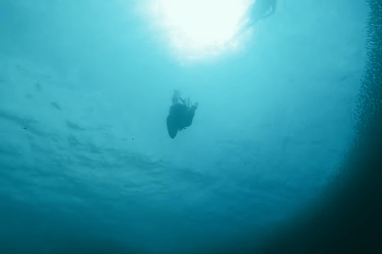 Cebu: Przygoda z nurkowaniem z rekinami wielorybimi w Oslob i Moalboal