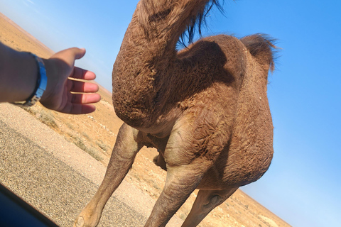 Djerba: Eine Nacht in Berberzelten.