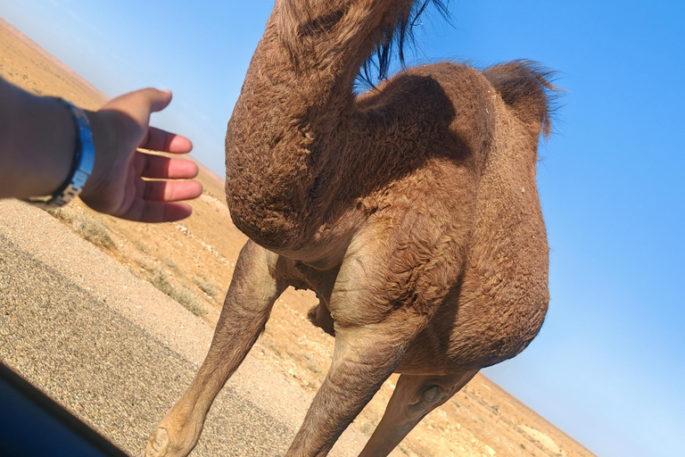 Djerba: Eine Nacht in Berberzelten.