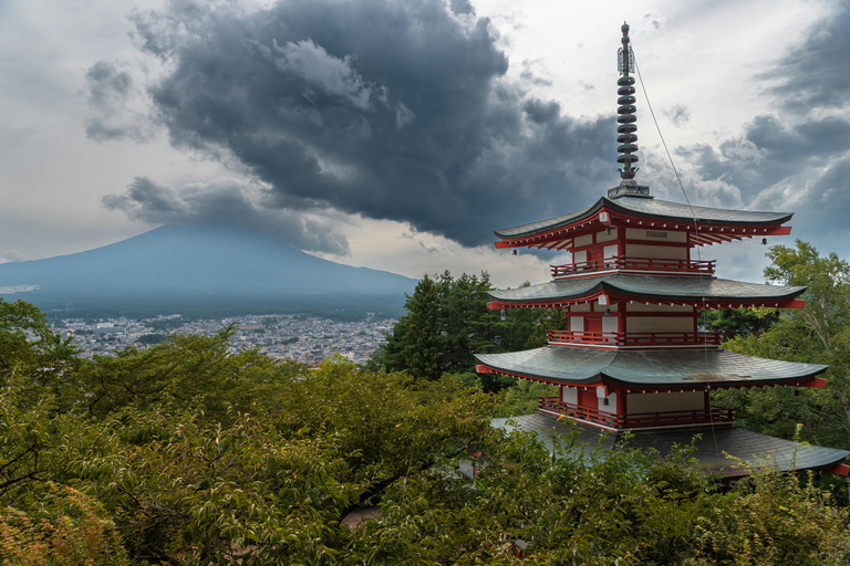 From Tokyo: Mount Fuji Full-Day Customizable & Private Tour Luxury MiniVan (1 upto 6)