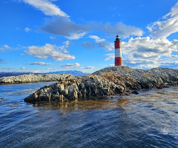Ushuaia: Beagle Channel and Penguin Island