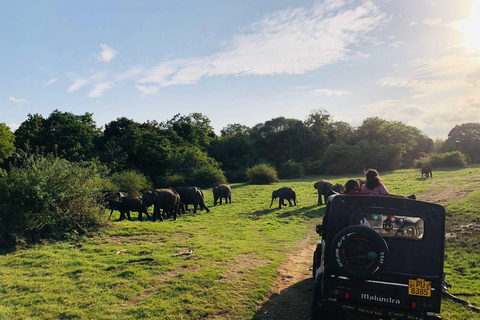 Habarana: Pure Village Life and Cultural Experience Day Tour we make real and untouched sri lankan experience