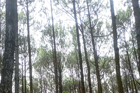 Yogyakarta: Prambanan Temple, Pindul Cave & Sunset Tour