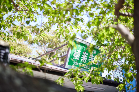 Tokyo: Enoshima, Kamakura, & Yokohama Tour (Enoden Included) Kamakura Y, from Shinjuku