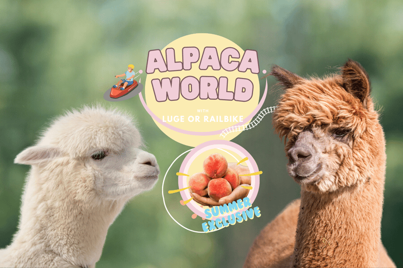 EN Y Alpaca World Turlar 2024 CRETS Z ptal GetYourGuide