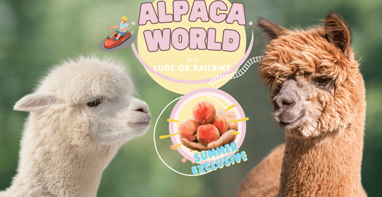 Alpaca World, Gangwon-do Province - Book Tickets & Tours