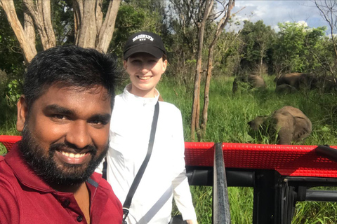 Safári no Parque Nacional de Yala saindo de Ella (+ jipe)