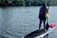 Cocoa Beach, Dolphin and Mottee Kayak ou Paddle Tour - Housity