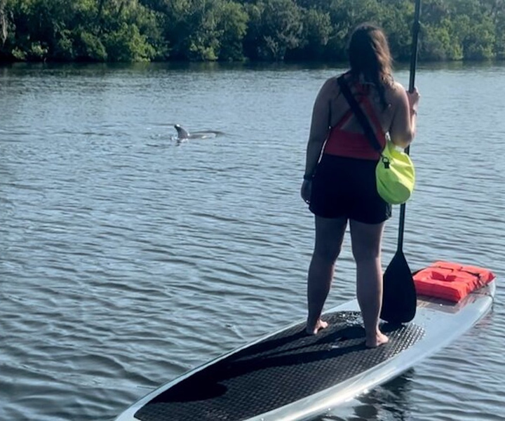 Cocoa Beach: Dolphin and Manatee Kayak or Paddle Tour