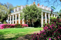 Nouvelle-Orléans, Swamp Boat Ride et Plantation Historic Plantation Tour - Housity
