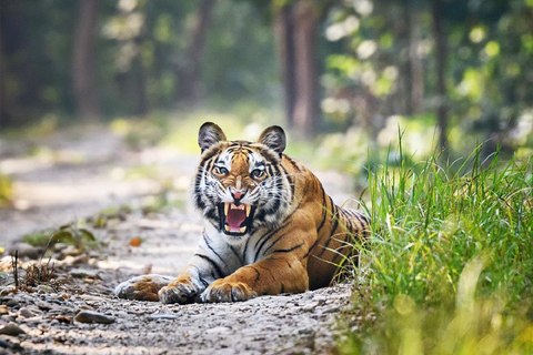 Kathmandu: Rara Lake, Jumla & Bardia 7-Day Overland Tour