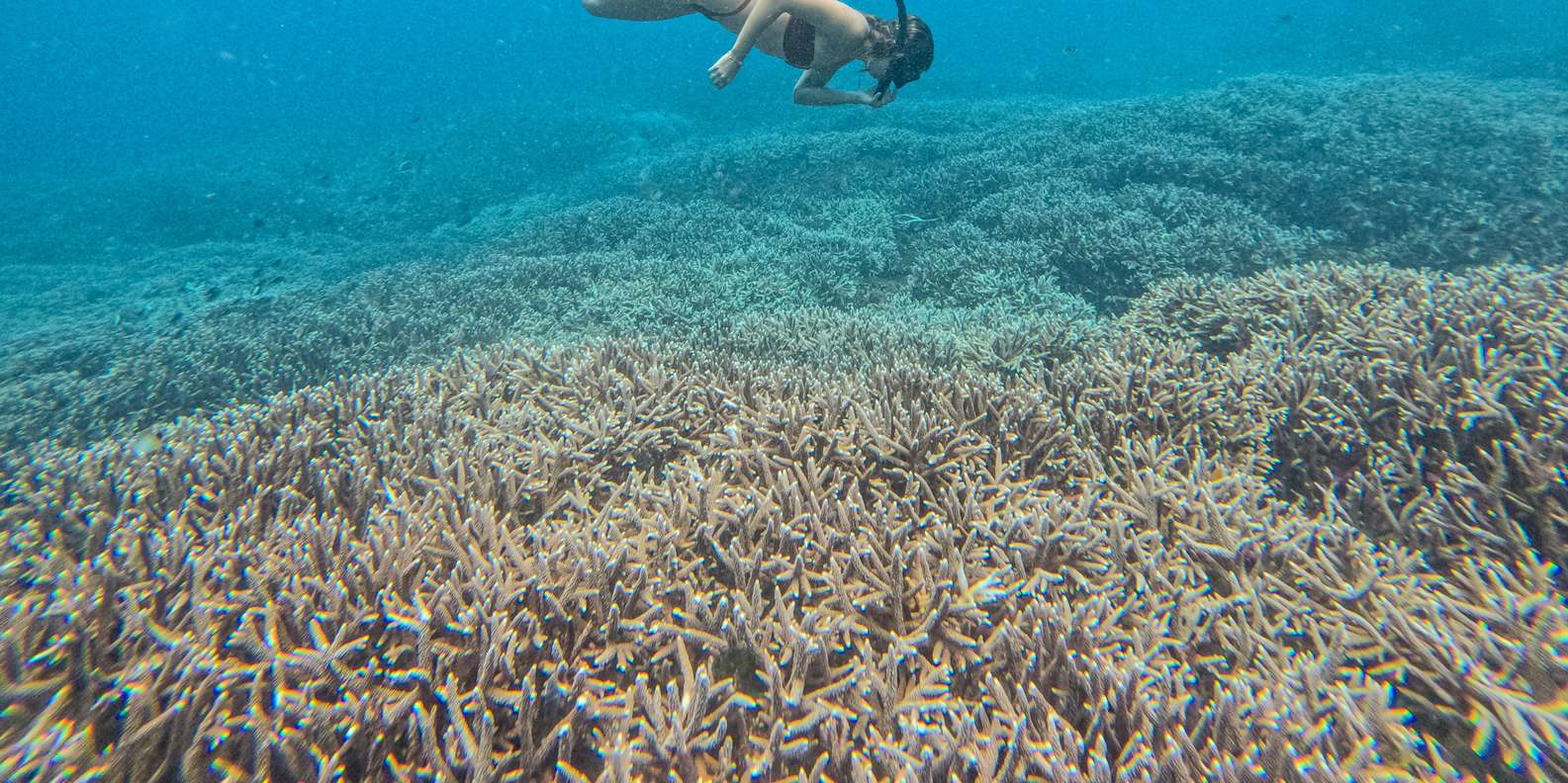 Bali: Premium Yacht Nusa Penida Manta Snorkeling & Land Tour — gallery image 63